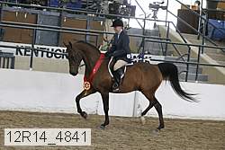 12r14_4841 proof
