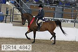 12r14_4842 proof