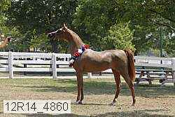 12r14_4860 proof