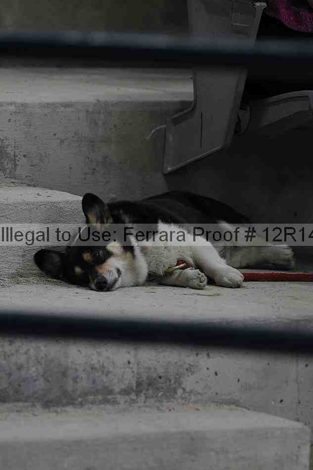 Proof 12r14_1620
