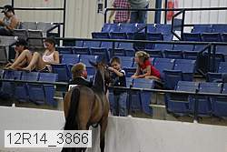 12r14_3866 proof