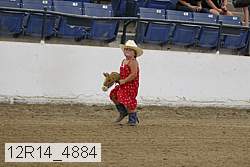 12r14_4884 proof