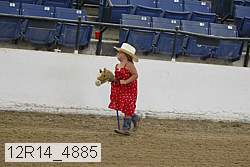 12r14_4885 proof