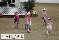 12r14_4910 proof