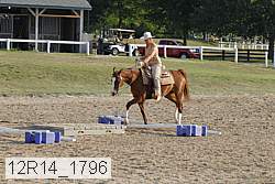 12r14_1796 proof