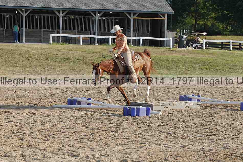 Proof 12r14_1797