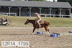 12r14_1799 proof