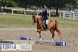 12r14_1822 proof