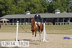 12r14_1828 proof