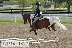 12r14_1829 proof