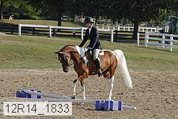 12r14_1833 proof