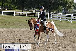 12r14_1841 proof