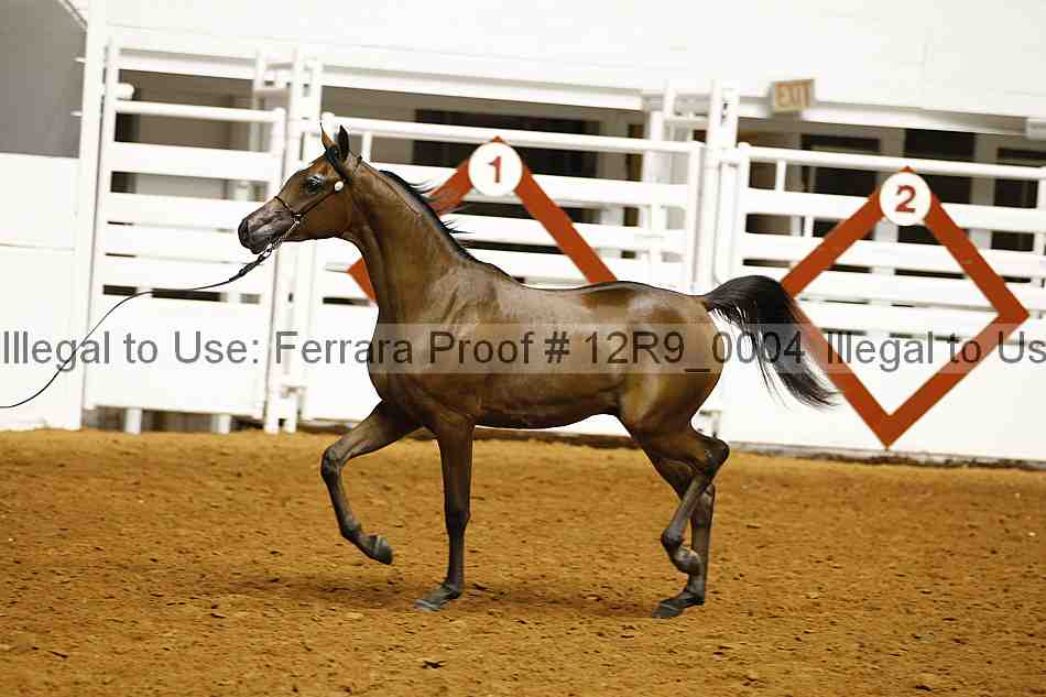 Proof 12r9_0004