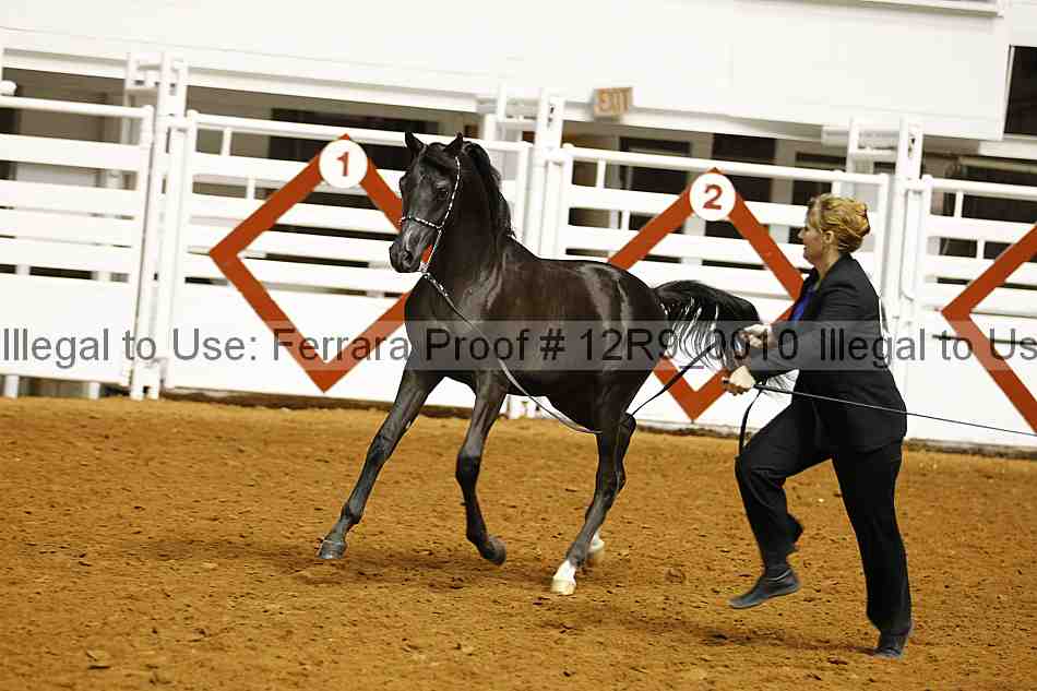 Proof 12r9_0010
