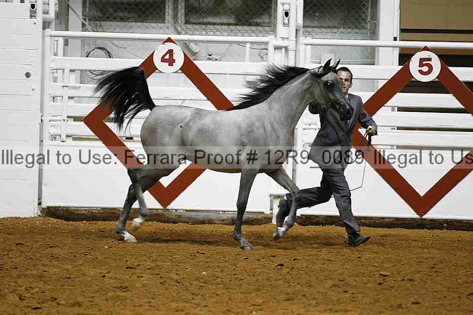Proof 12r9_0089