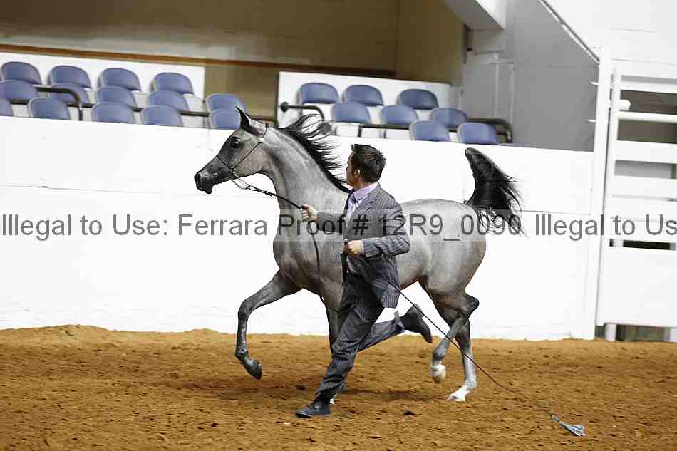 Proof 12r9_0090