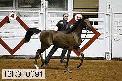 12r9_0091 proof
