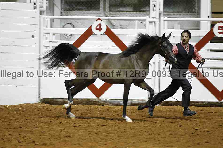Proof 12r9_0093