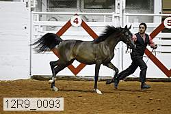 12r9_0093 proof
