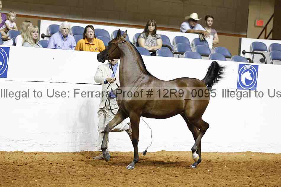 Proof 12r9_0095