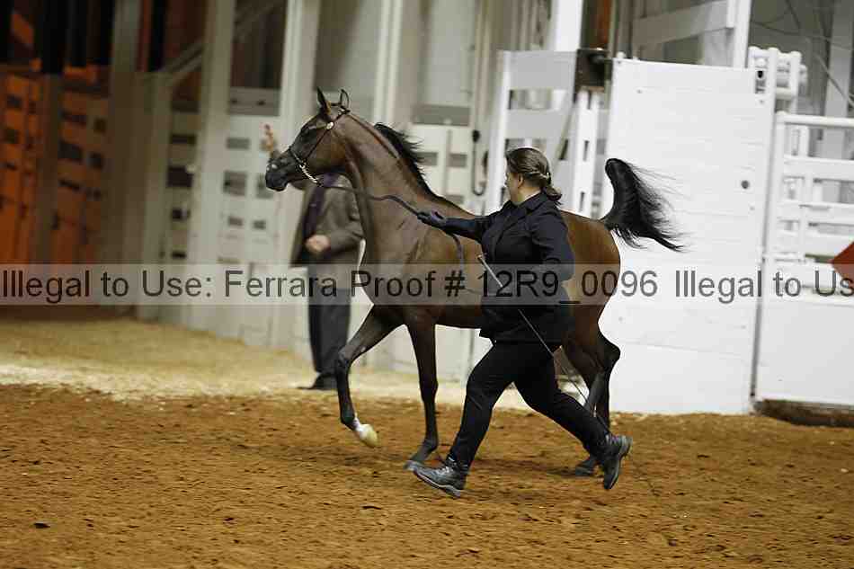 Proof 12r9_0096