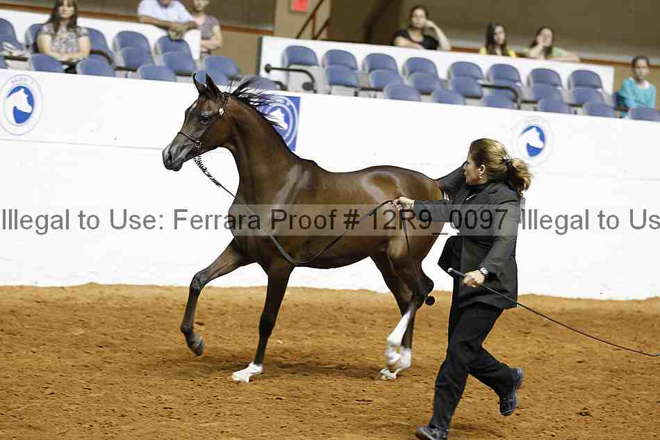 Proof 12r9_0097
