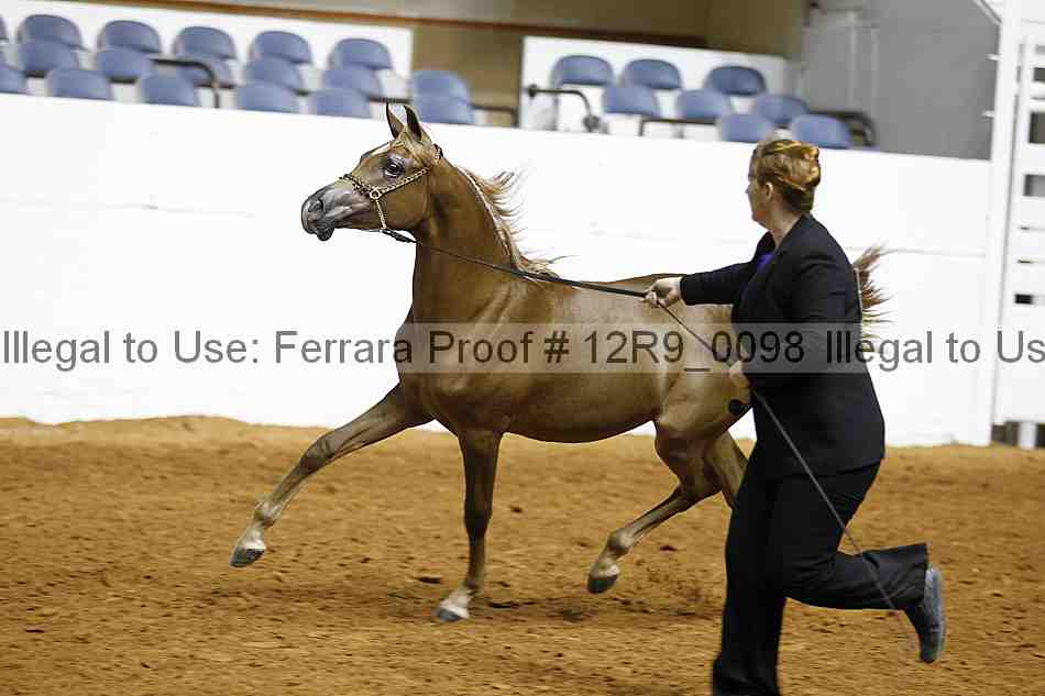 Proof 12r9_0098