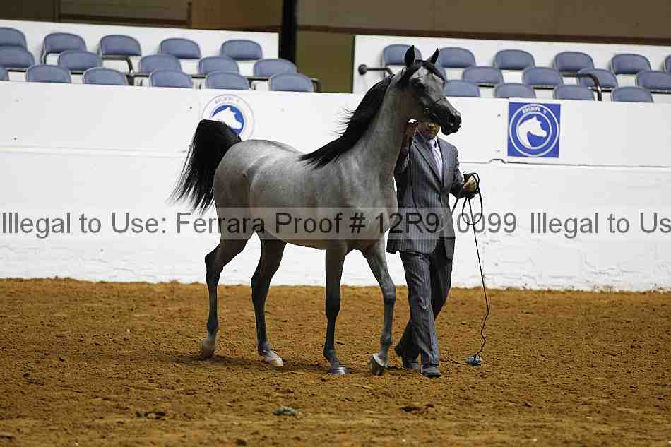Proof 12r9_0099
