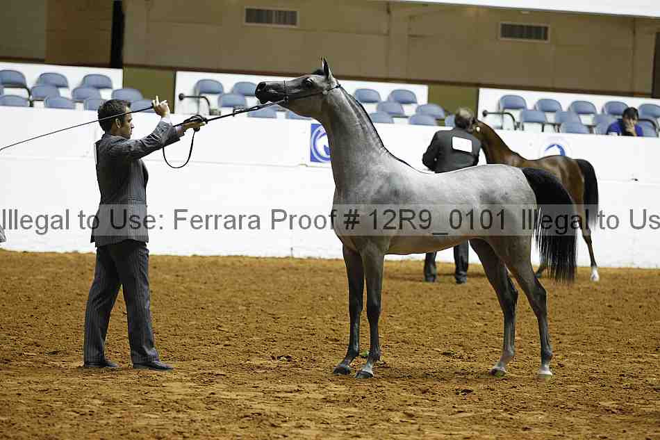 Proof 12r9_0101