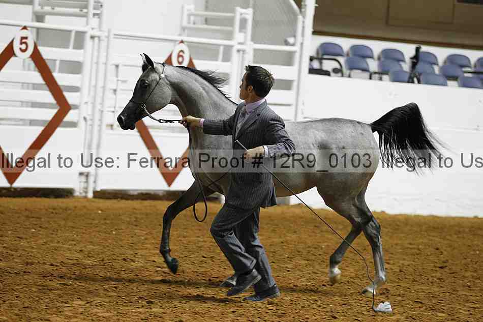 Proof 12r9_0103