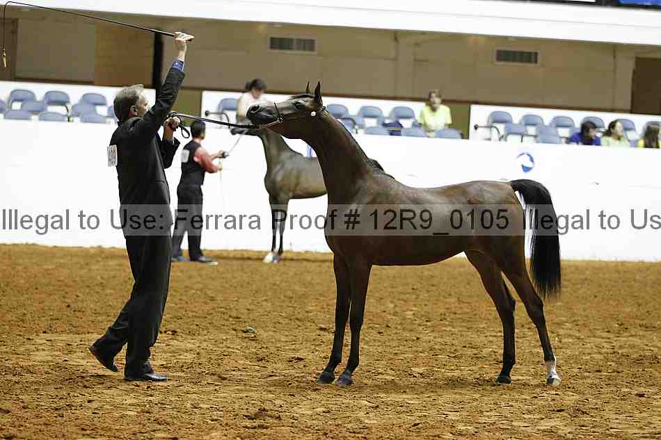Proof 12r9_0105