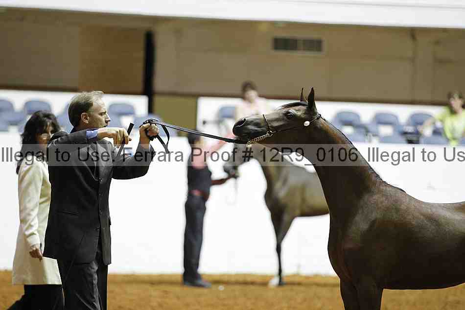 Proof 12r9_0106
