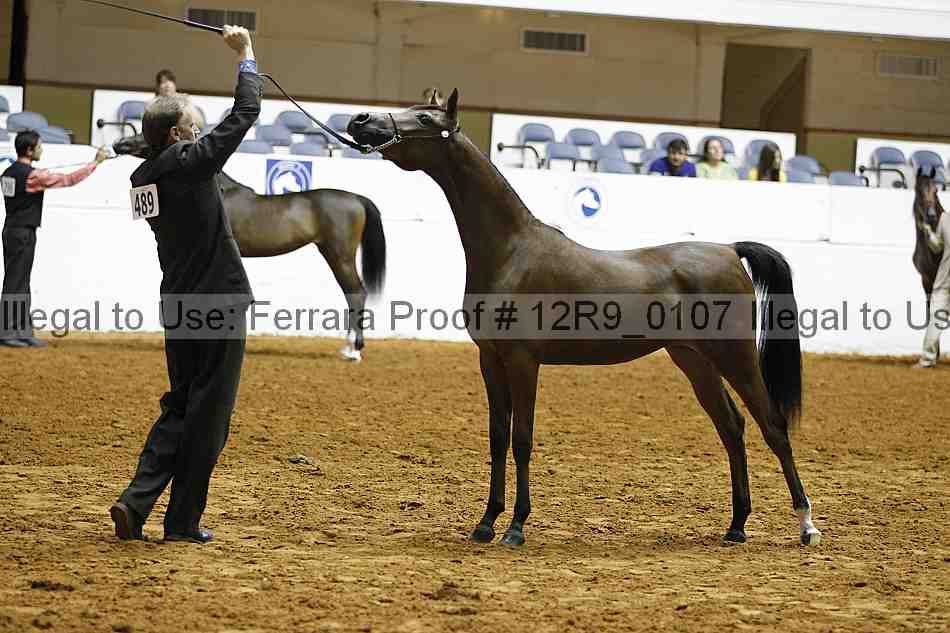 Proof 12r9_0107