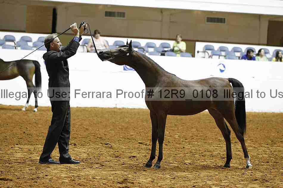 Proof 12r9_0108