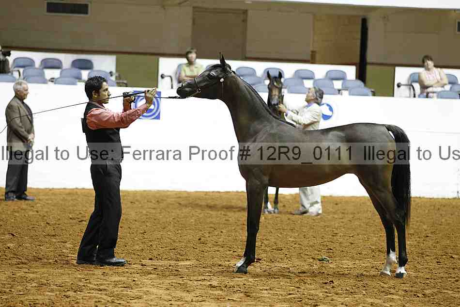 Proof 12r9_0111