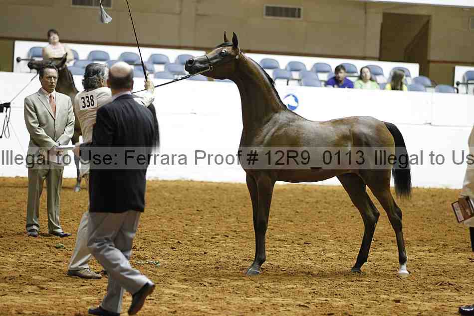 Proof 12r9_0113