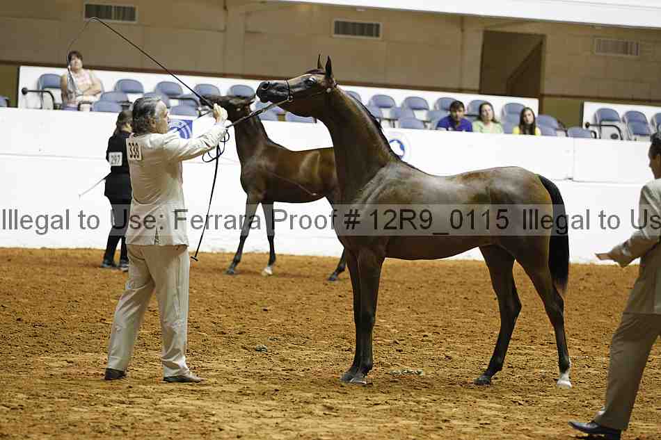 Proof 12r9_0115