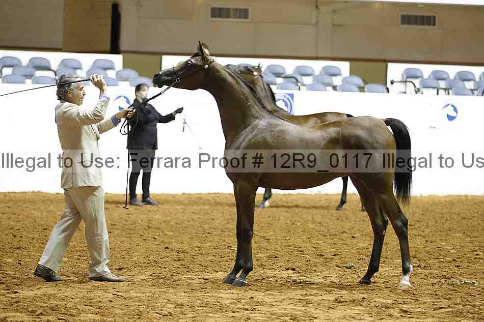 Proof 12r9_0117