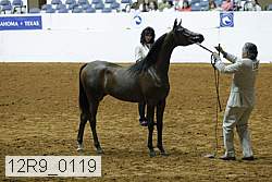 12r9_0119 proof