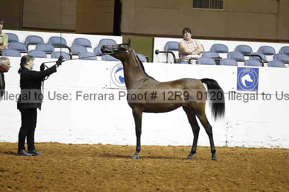 Proof 12r9_0120