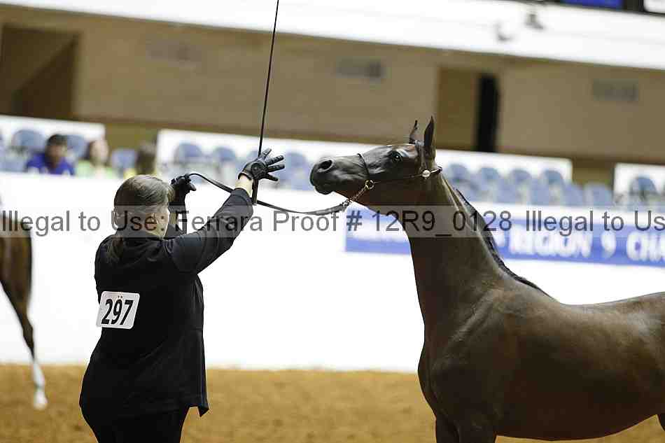 Proof 12r9_0128