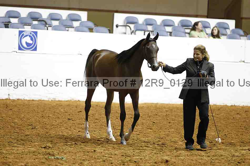 Proof 12r9_0129