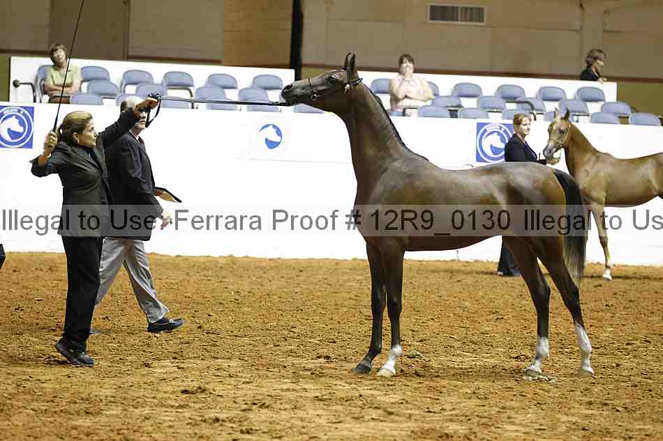 Proof 12r9_0130