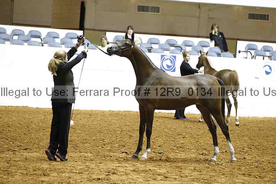 Proof 12r9_0134
