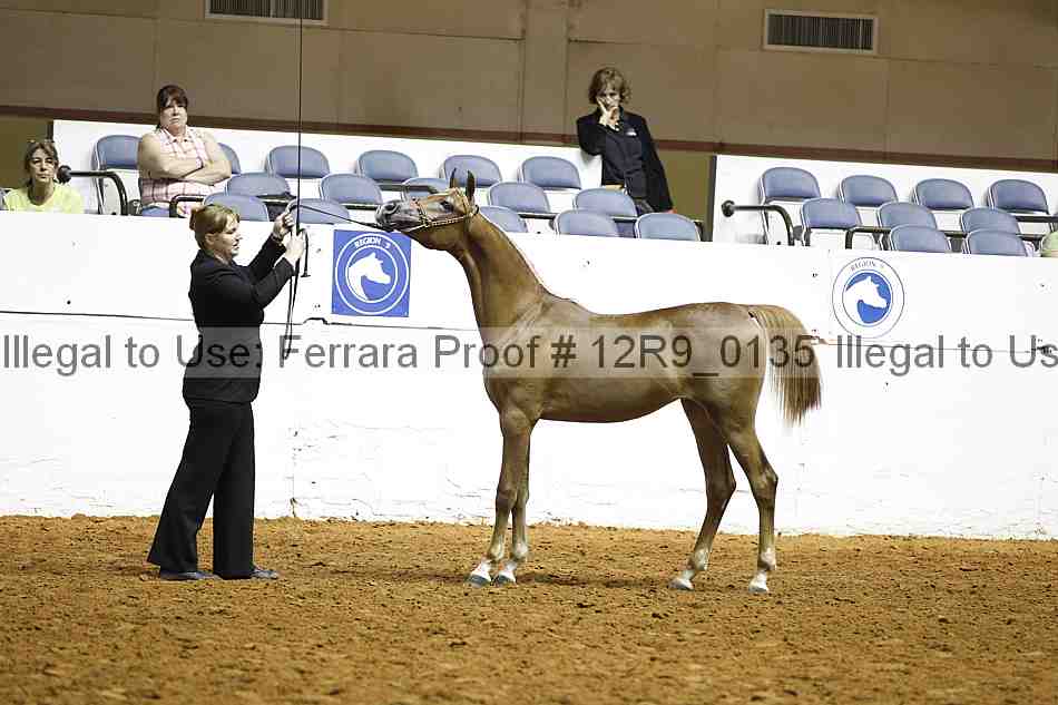 Proof 12r9_0135