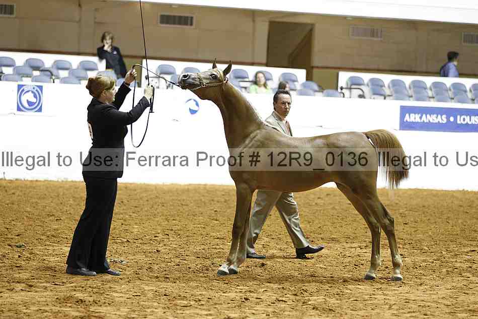 Proof 12r9_0136