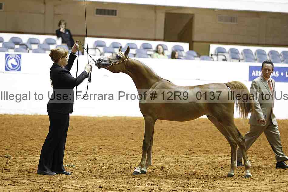 Proof 12r9_0137