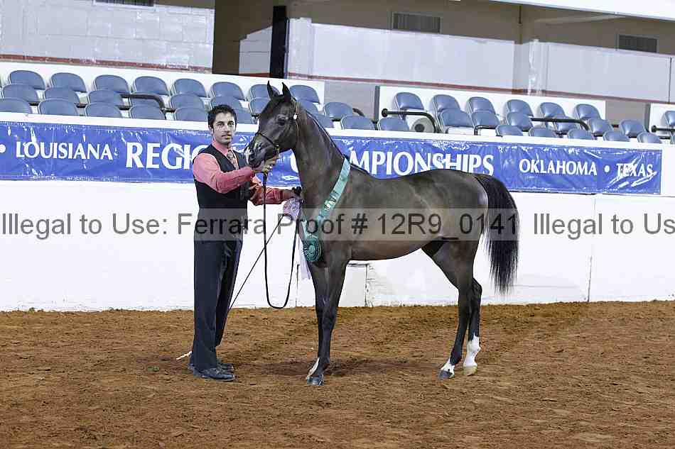 Proof 12r9_0141