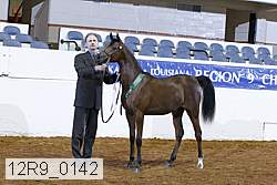 12r9_0142 proof