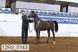 12r9_0143 proof